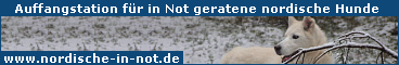 Banner 1