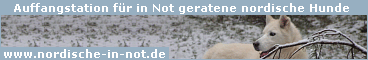 Banner 2